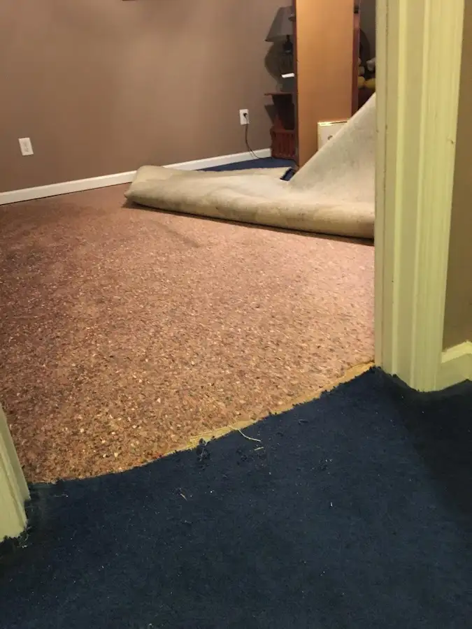 Carpet pad removal revealing water damage during Drying & Dehumidification in Cortland